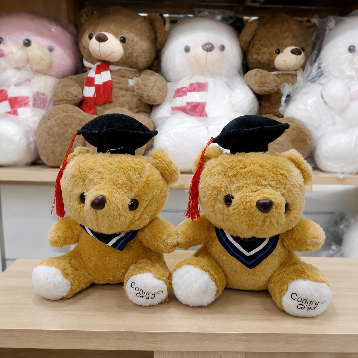 Graduation Teddy Bear
