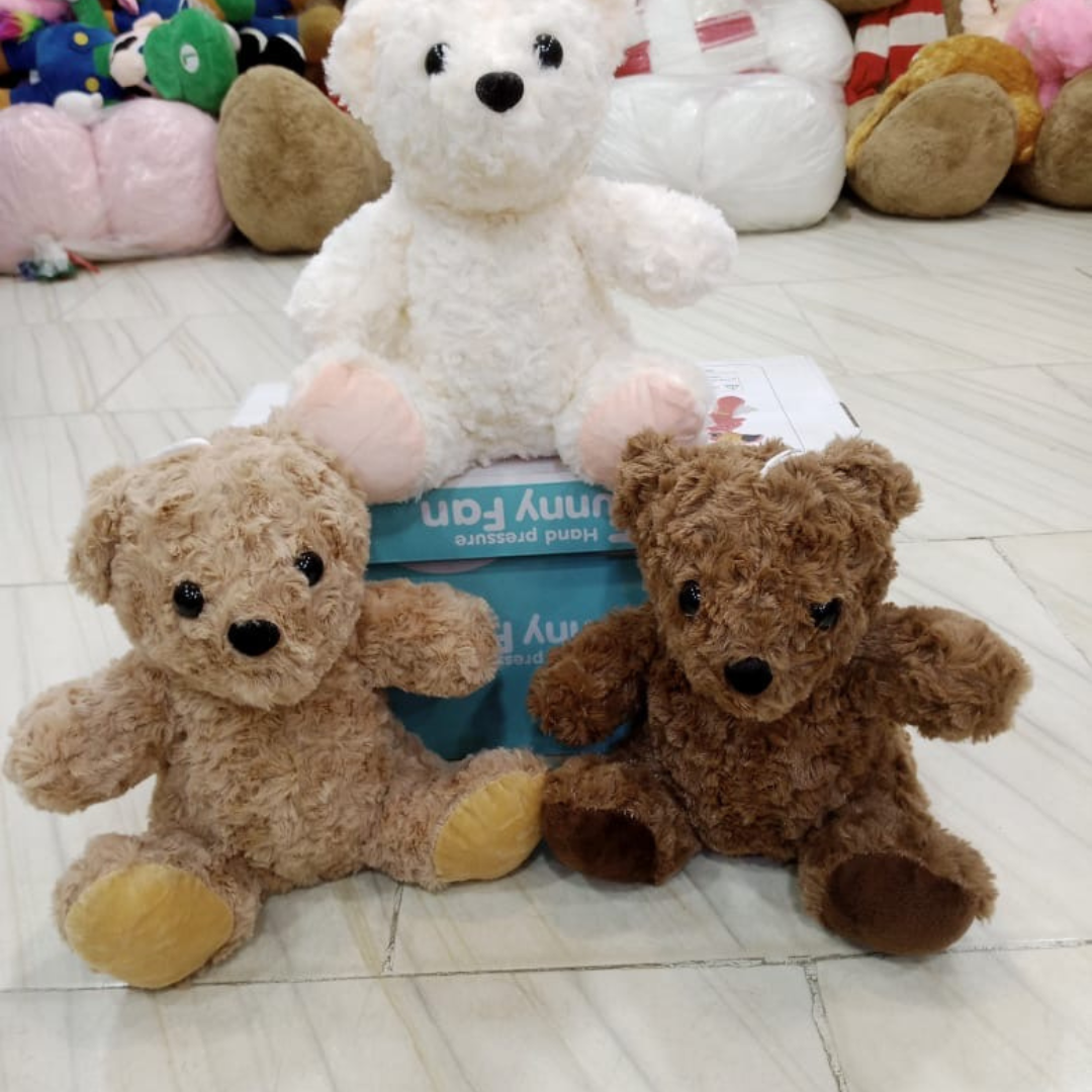 Teddy Bear Set
