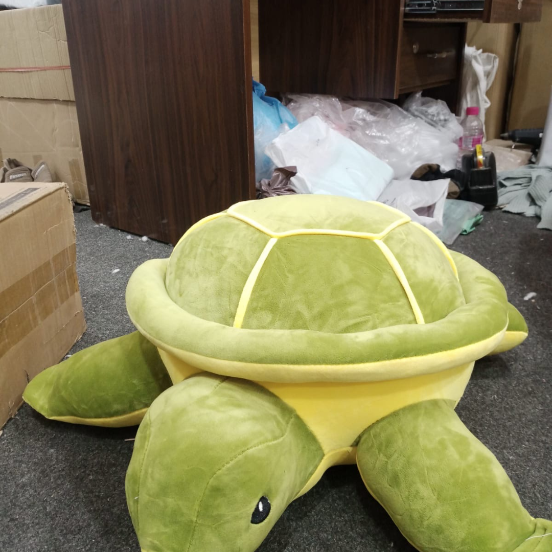 Plush Turtle Toy