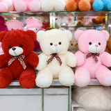Teddy Bear Plush
