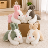 Plush Bunny Pair