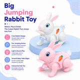 Big Jumping Rabbit Toy