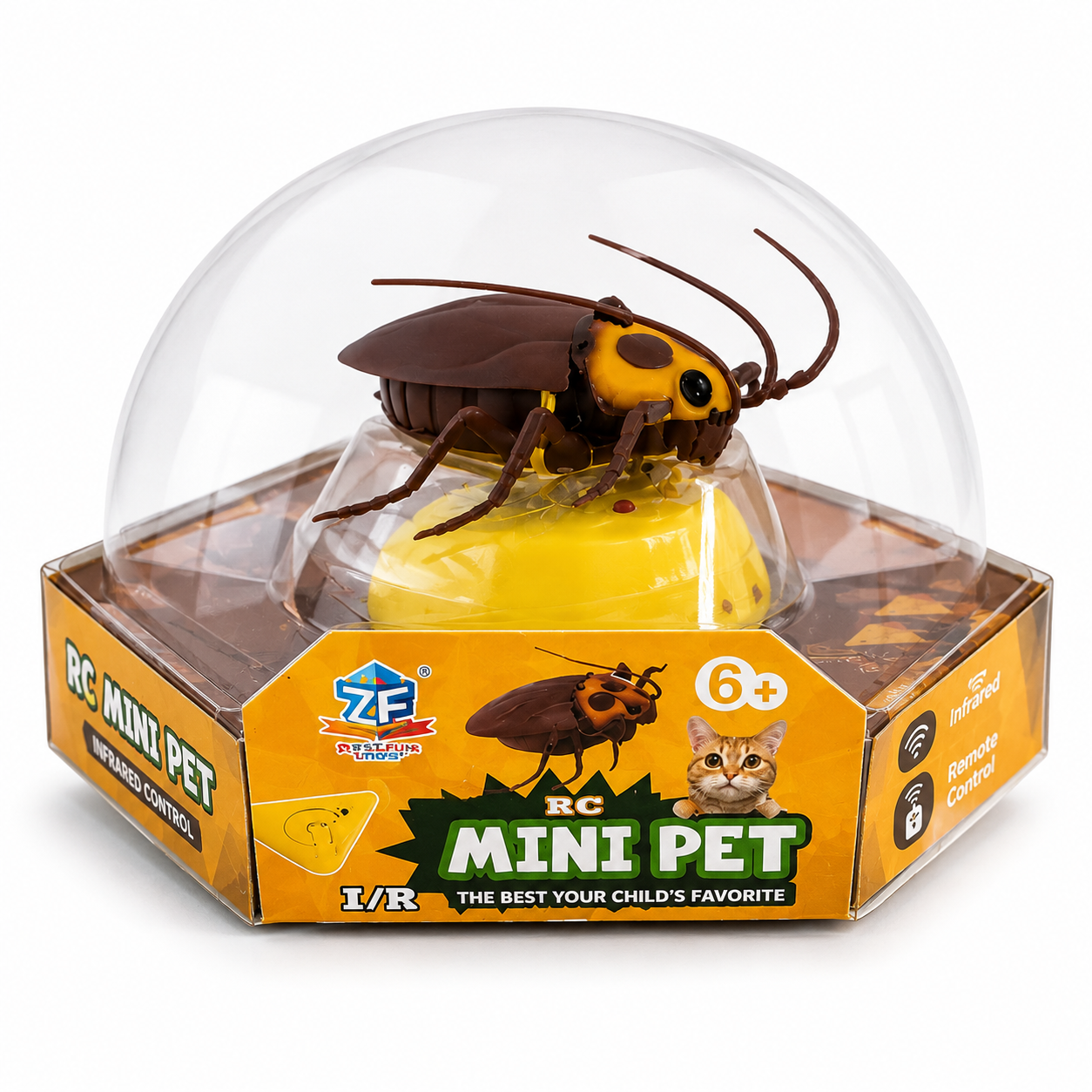 RC Mini Cockroach