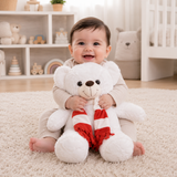 White Teddy Bear
