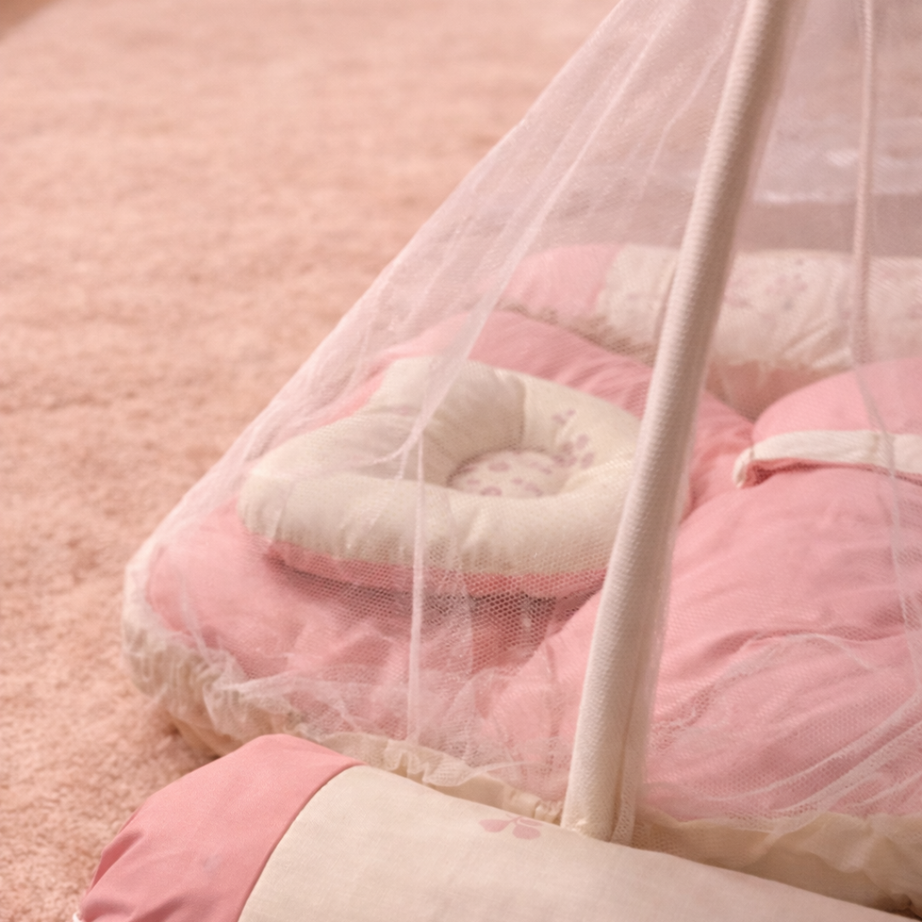 Blush Floral Baby Nest Set – 4 Pcs (Net + Pillows)
