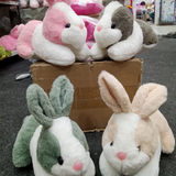 Plush Bunny Pair