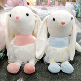 Cute Bunny Soft Plush Toys